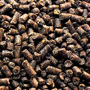 Garvo - 826 Siervogel pride, 20 KG